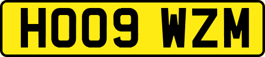 HO09WZM