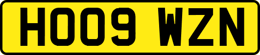 HO09WZN