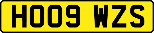HO09WZS