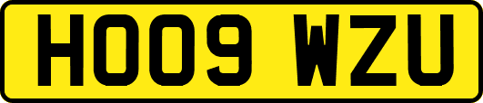 HO09WZU