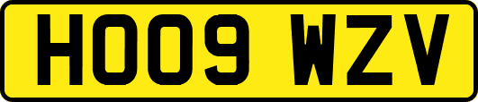 HO09WZV