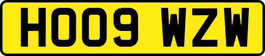 HO09WZW