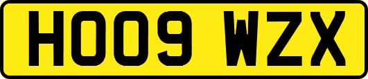 HO09WZX