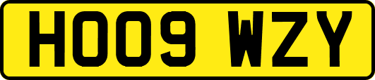 HO09WZY