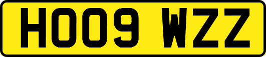 HO09WZZ