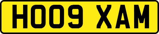 HO09XAM