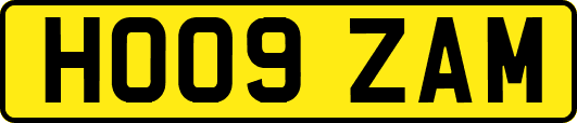 HO09ZAM