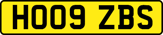 HO09ZBS