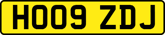HO09ZDJ