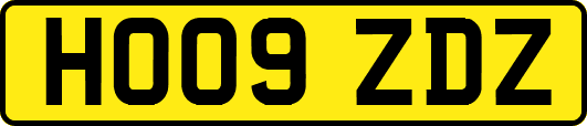 HO09ZDZ