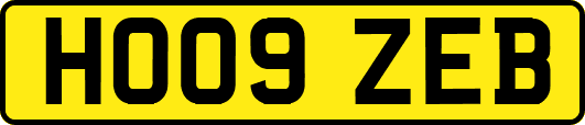 HO09ZEB