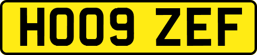 HO09ZEF