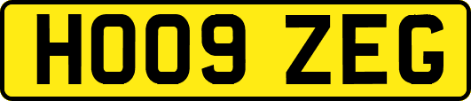 HO09ZEG