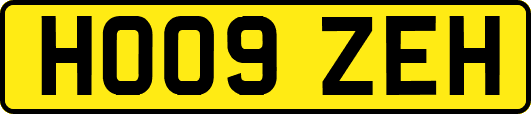 HO09ZEH