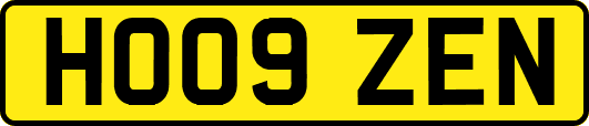 HO09ZEN