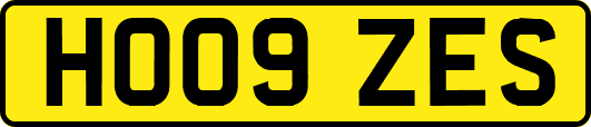 HO09ZES