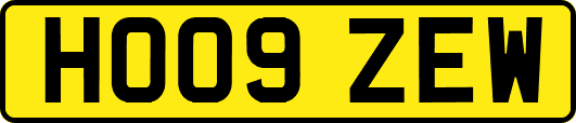 HO09ZEW