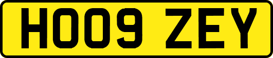 HO09ZEY