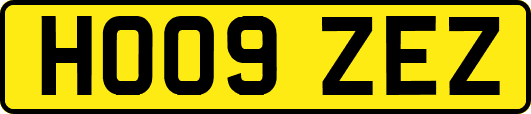 HO09ZEZ
