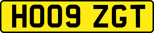 HO09ZGT