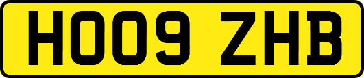 HO09ZHB