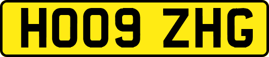 HO09ZHG