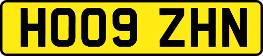 HO09ZHN