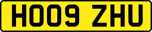 HO09ZHU