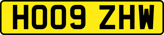 HO09ZHW
