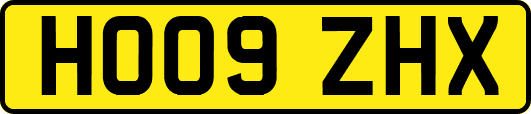 HO09ZHX