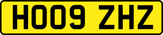 HO09ZHZ