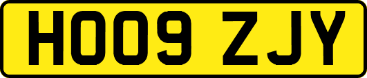 HO09ZJY