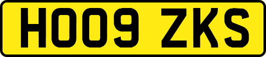 HO09ZKS