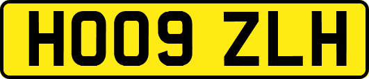 HO09ZLH