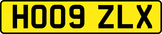 HO09ZLX