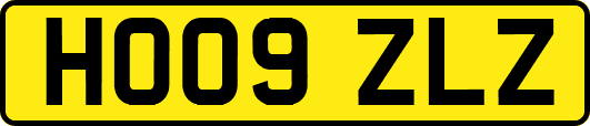 HO09ZLZ