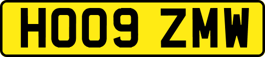 HO09ZMW