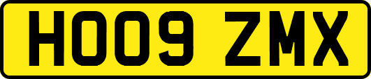 HO09ZMX