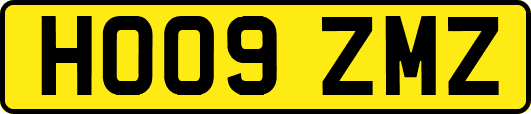 HO09ZMZ