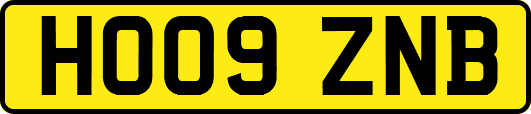 HO09ZNB