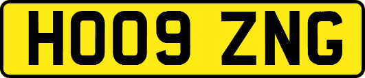 HO09ZNG