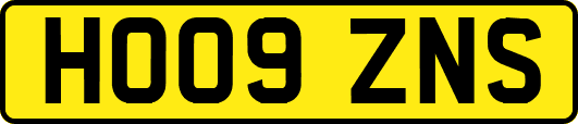 HO09ZNS