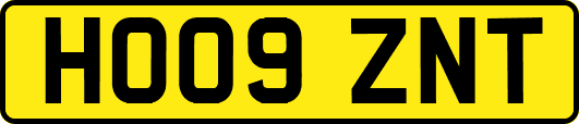 HO09ZNT