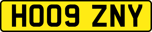 HO09ZNY