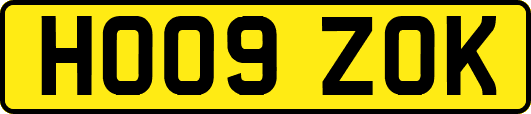 HO09ZOK