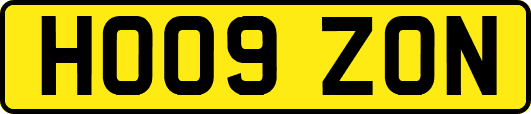 HO09ZON