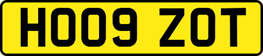 HO09ZOT
