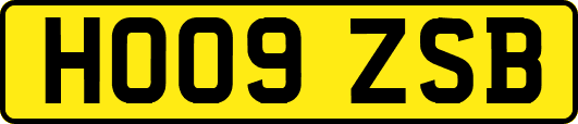 HO09ZSB
