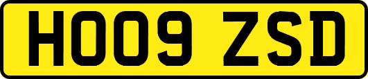 HO09ZSD