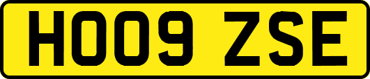 HO09ZSE